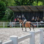 Memoriál Františka Ventury ve Svobodě nad Úpou - 8. ročník