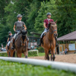 Memoriál Františka Ventury ve Svobodě nad Úpou - 8. ročník