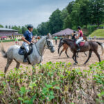 Memoriál Františka Ventury ve Svobodě nad Úpou - 8. ročník