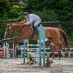 Memoriál Františka Ventury ve Svobodě nad Úpou - 8. ročník