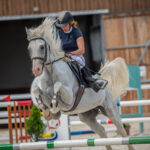 Memoriál Františka Ventury ve Svobodě nad Úpou - 8. ročník