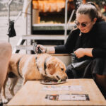 FOTO: Park plný chutí. Trutnov si zamlsal na Street Food Pikniku