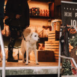 FOTO: Park plný chutí. Trutnov si zamlsal na Street Food Pikniku