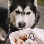 FOTO: Park plný chutí. Trutnov si zamlsal na Street Food Pikniku