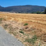 Borec! Cyklista Aleš Vaníček dokončil závod dlouhý 5000 kilometrů!