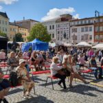 FOTO: Trutnovský jarmark – hudba, řemesla a rodinná pohoda na Krakonošově náměstí