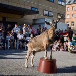 FOTO: Trutnovský jarmark – hudba, řemesla a rodinná pohoda na Krakonošově náměstí