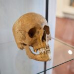 FOTO: Výstava v Muzeu Podkrkonoší mapuje historii trutnovských hřbitovů