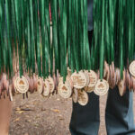 Oslavy 170 let své existence a zároveň 80 let působení České lesnické akademie v Trutnově