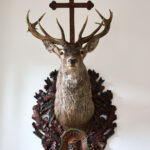 Oslavy 170 let své existence a zároveň 80 let působení České lesnické akademie v Trutnově