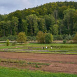 Oslavy 170 let své existence a zároveň 80 let působení České lesnické akademie v Trutnově