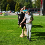 Rozhýbejme Trutnov 2025