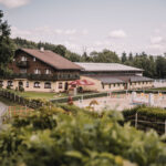 Láska ke koním na celý život