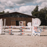 Láska ke koním na celý život