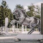 Láska ke koním na celý život