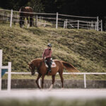 Láska ke koním na celý život