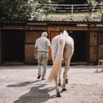 Láska ke koním na celý život