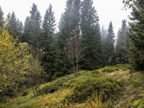 Soud dal za pravdu Správě KRNAP, i neživou přírodu Krkonoš je třeba chránit