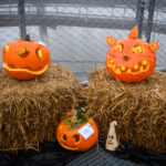 FOTO: Strašidla na Stezce aneb Halloweenské hrátky mezi korunami stromů