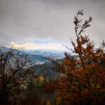 FOTO: Strašidla na Stezce aneb Halloweenské hrátky mezi korunami stromů