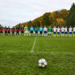 MFK Trutnov - FK Dobrovice 3:0 (2:0)
