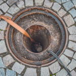 Symbol Vánoc. Třináctimetrový smrk už zdobí Krakonošovo náměstí