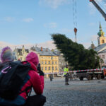 Symbol Vánoc. Třináctimetrový smrk už zdobí Krakonošovo náměstí