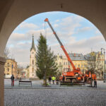 Symbol Vánoc. Třináctimetrový smrk už zdobí Krakonošovo náměstí