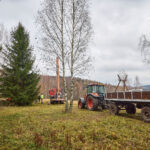 Symbol Vánoc. Třináctimetrový smrk už zdobí Krakonošovo náměstí