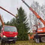 Symbol Vánoc. Třináctimetrový smrk už zdobí Krakonošovo náměstí