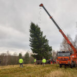Symbol Vánoc. Třináctimetrový smrk už zdobí Krakonošovo náměstí