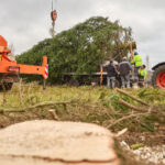 Symbol Vánoc. Třináctimetrový smrk už zdobí Krakonošovo náměstí