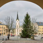 Symbol Vánoc. Třináctimetrový smrk už zdobí Krakonošovo náměstí