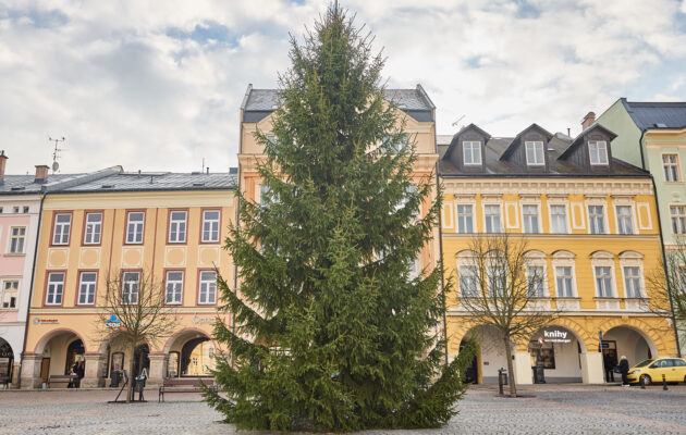 Symbol Vánoc. Třináctimetrový smrk už zdobí Krakonošovo náměstí