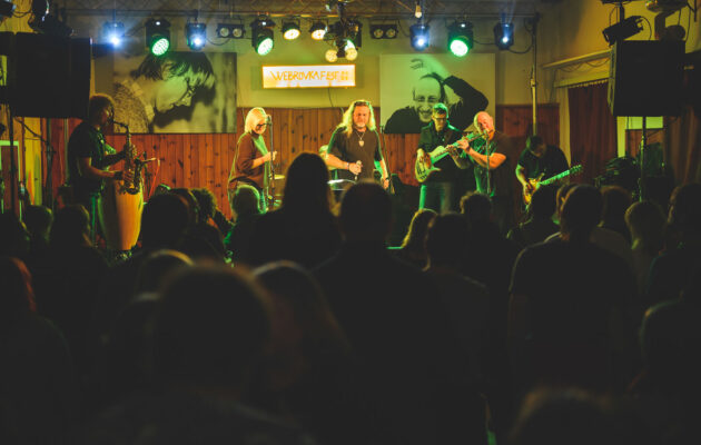 FOTO: Na Webrovkafestu se pro děti vybralo přes 100 tisíc korun