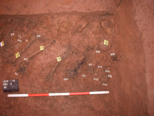 Archeologové našli unikátní hromadné hroby vojáků na trase dálnice D11