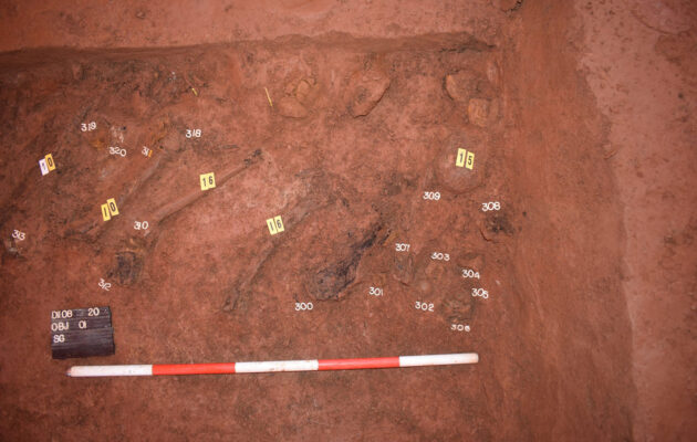 Archeologové našli unikátní hromadné hroby vojáků na trase dálnice D11