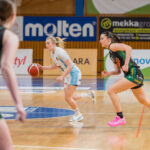 Ženská basketbalová liga: Trutnov - Žabiny Brno (58:90)