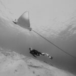Freediver Pavel Tomm: Chci objevit, co je dál