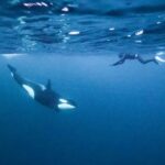 Freediver Pavel Tomm: Chci objevit, co je dál