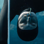 Freediver Pavel Tomm: Chci objevit, co je dál