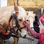FOTO: Veselý masopustní průvod prošel Pilníkovem