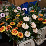 Slavnostní vyhlášení nejlepších sportovců Trutnovska za rok 2025