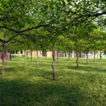 Zahrada, hřiště, sad i oddechový pavilon. Park na Kryblici čeká proměna