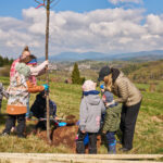 Malé ruce, velká věc. Na Kryblici přibyla alej ovocných stromů