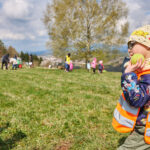 Malé ruce, velká věc. Na Kryblici přibyla alej ovocných stromů