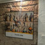 Veselá věda Martina Stejskala u „draků“ se propojila s umělou inteligencí