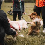 FOTO: V Žacléři se kutálely balíky sena, vyhráli Kloboučníci