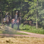 Na chvíli zase rok 1866. Jak Rakušané v Trutnově obrátili bitvu proti Prusům