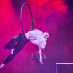 Cirk-UFF 2026: Losers Cirque Company - Armagedon: Poslední derniéra